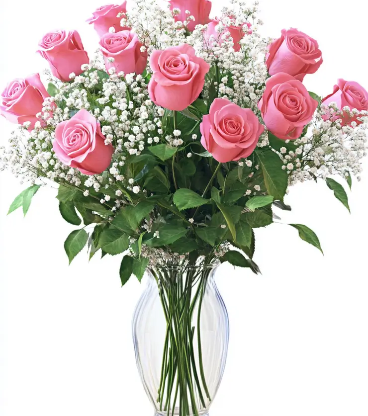 Tender Beauty