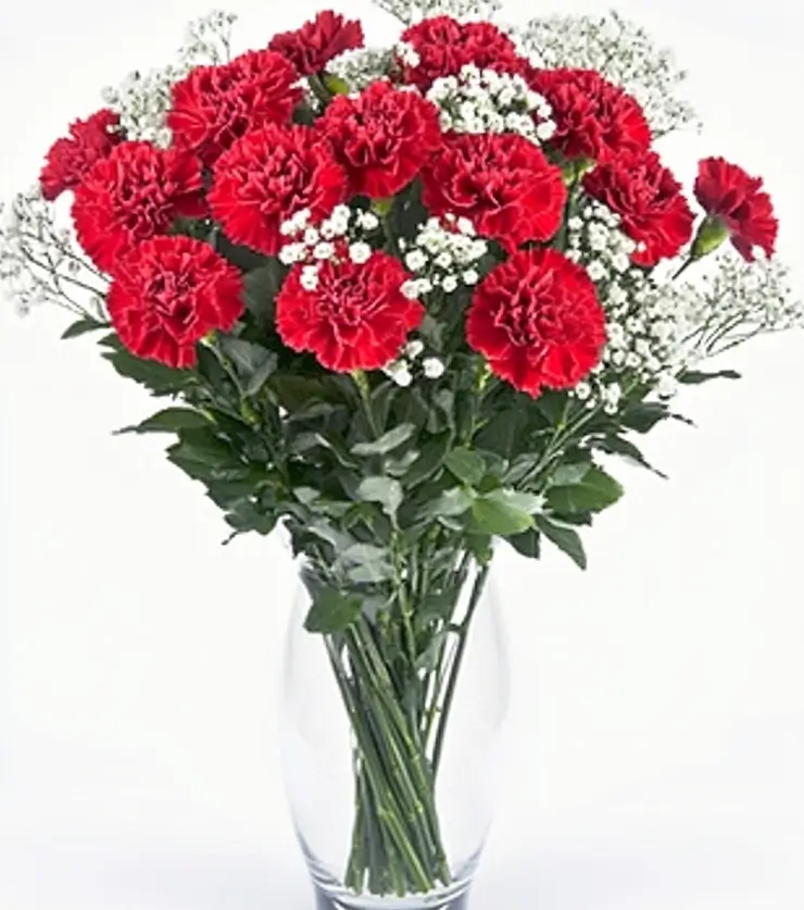 Vibrant Carnations