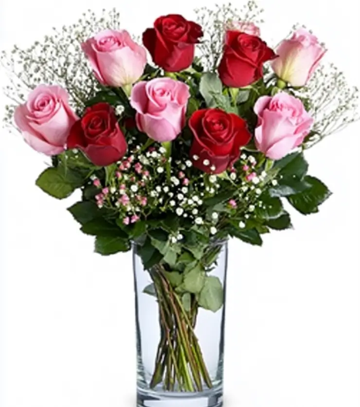 Vibrant Roses