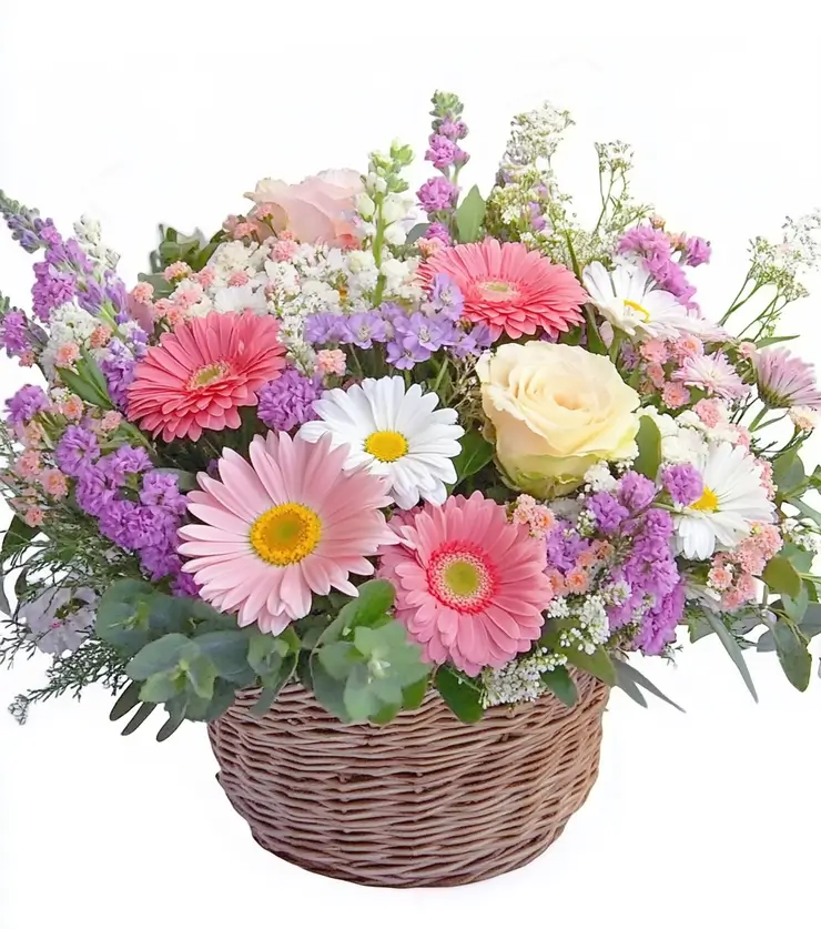Colorful Fragrance