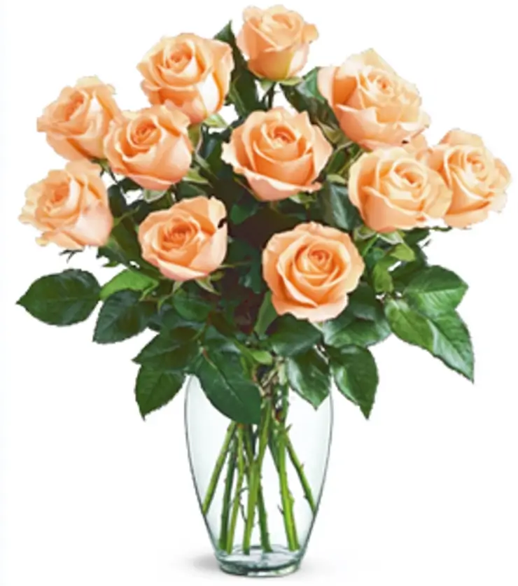 Shimmering Roses