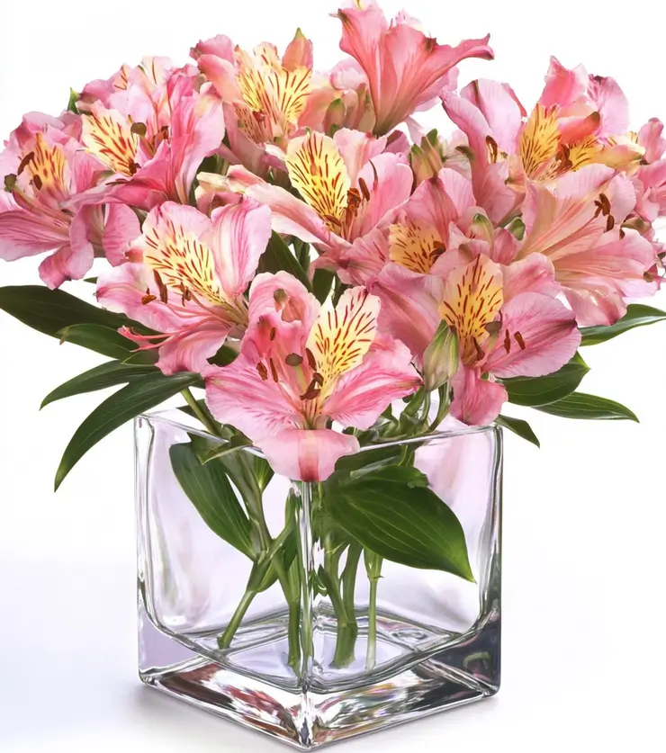 Wishing You Well