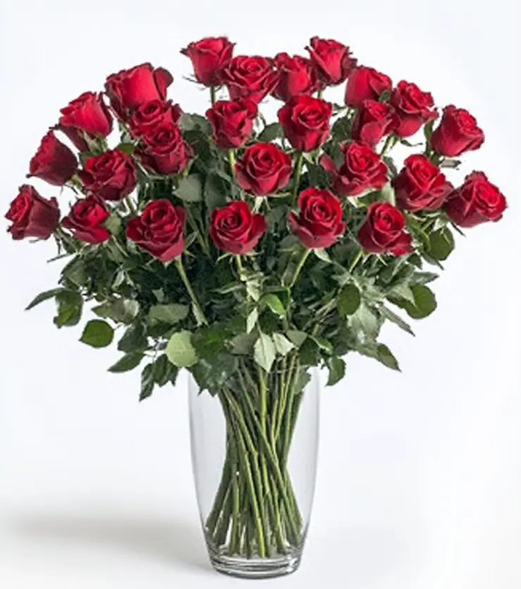 Crimson Romance
