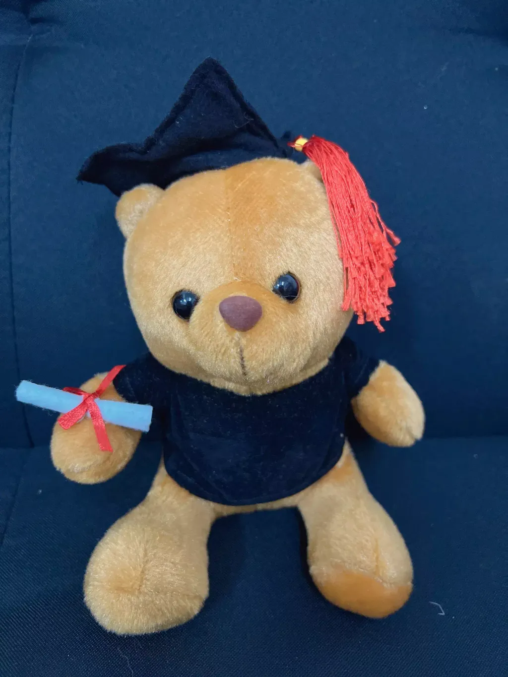 Graduation Bear Brown