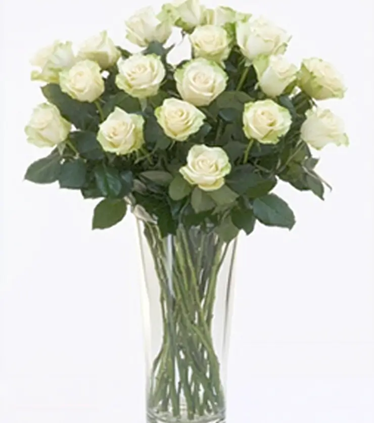 Luxurious 24 White Roses