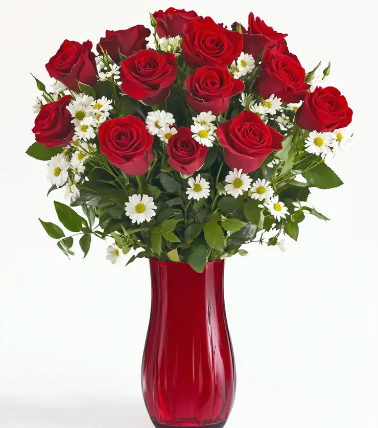 Velvety Red Roses