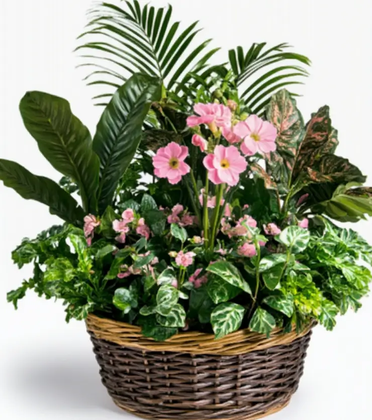 Jardin des Fleurs