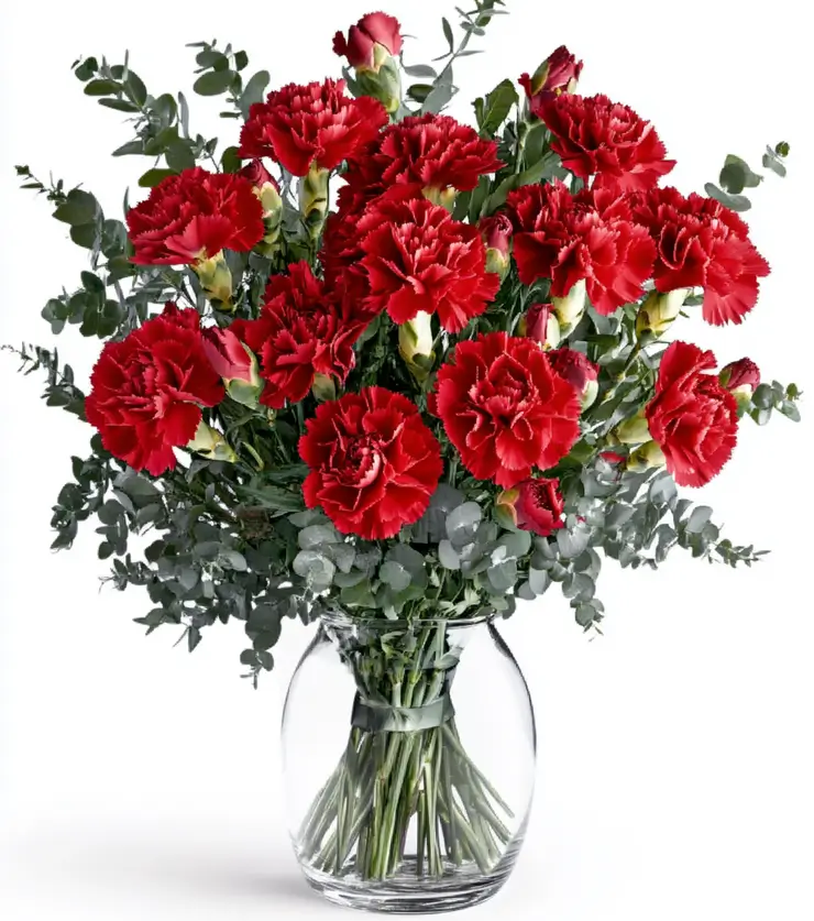 Send Get Well Wishes