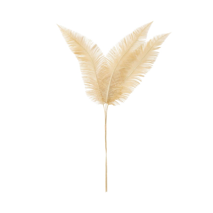 Winter Stem Gold Feather Bunch