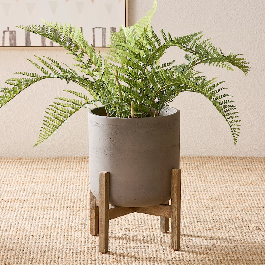 Belgrave Green Potted Plant