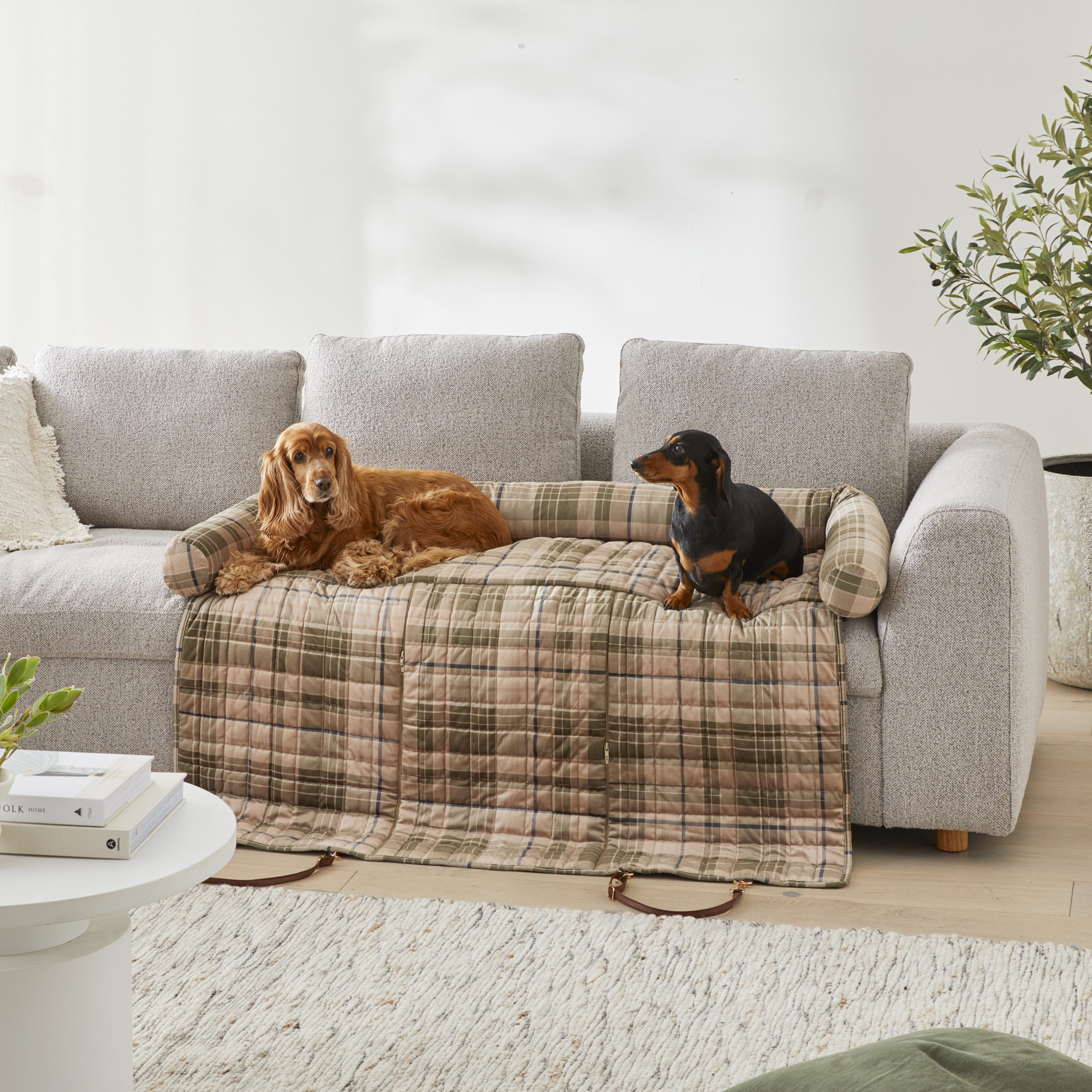 Maisy Biscuit & Forest Check Double Fold-Out Pet Bed