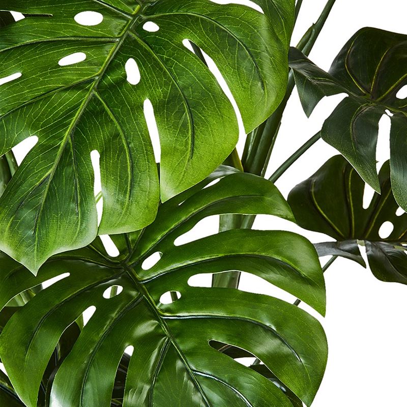 Monstera 3 Stem Potted Plant  150cm