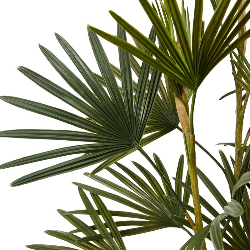 Lady Green Potted Palm 120cm