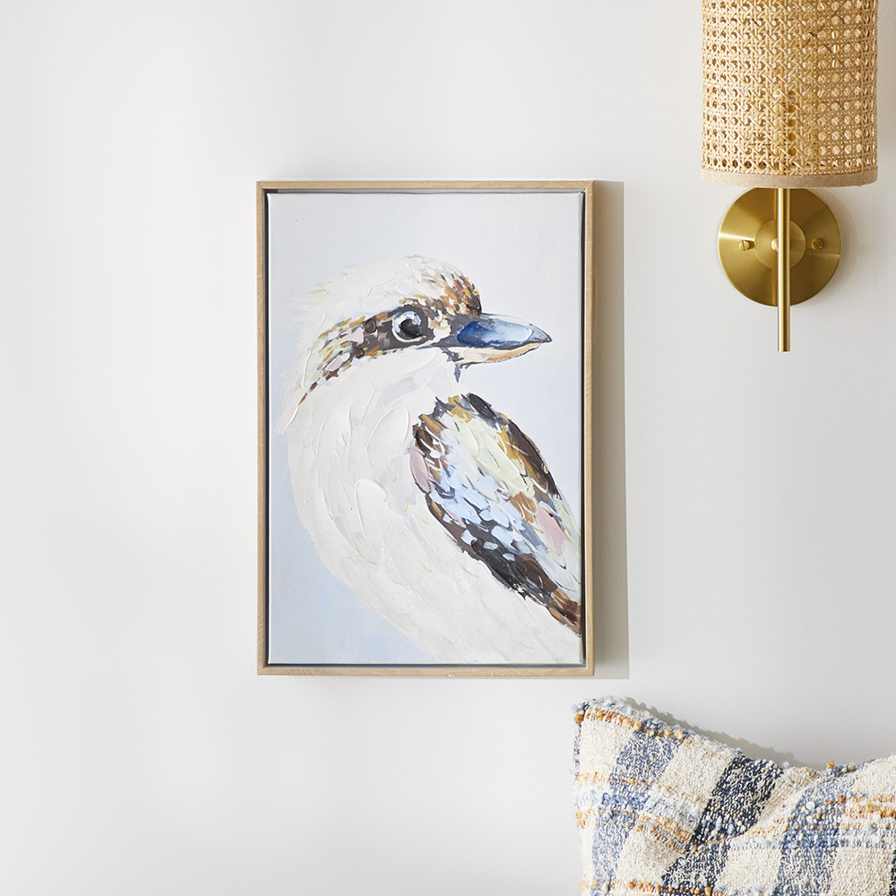 Aves Kookaburra Posing Canvas