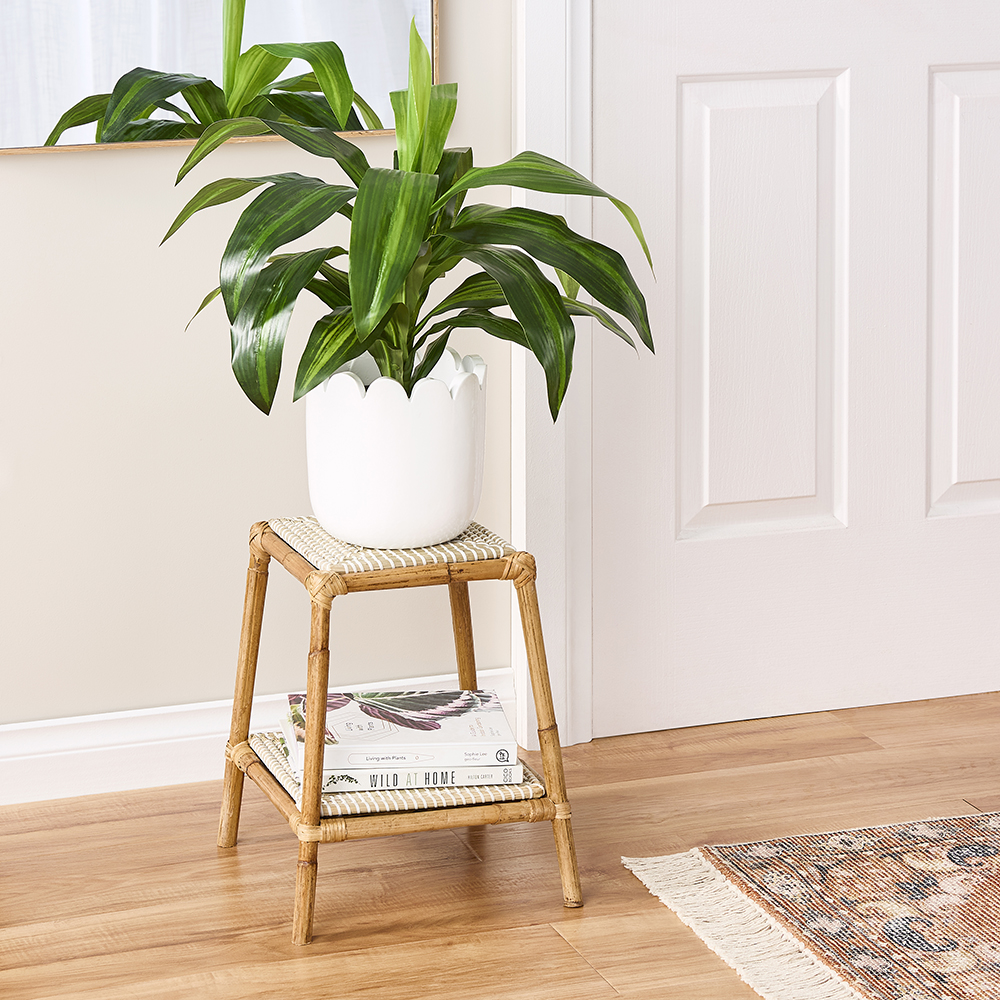 Keppel White & Natural Plant Stand