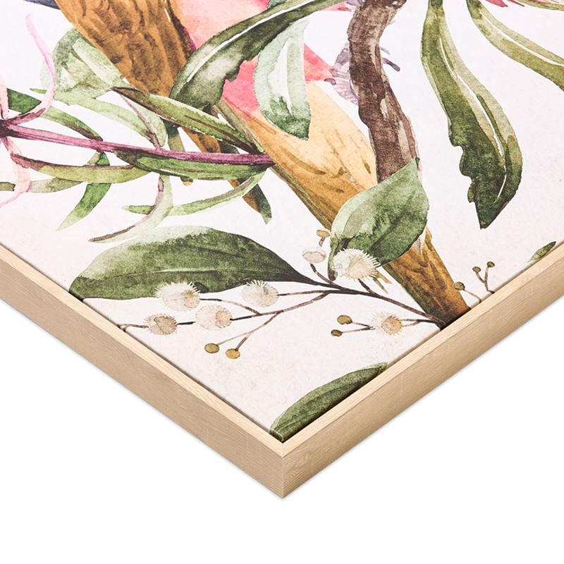 Flora & Fauna Peach Parrot Canvas