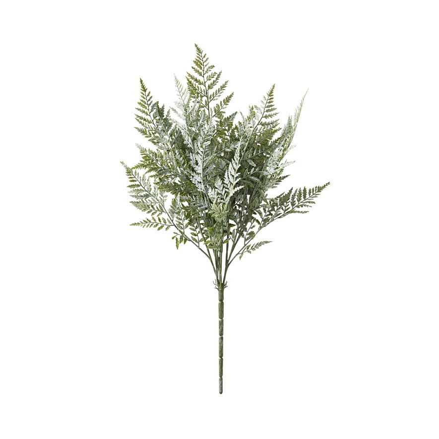Native Stem Silver Green Cypress