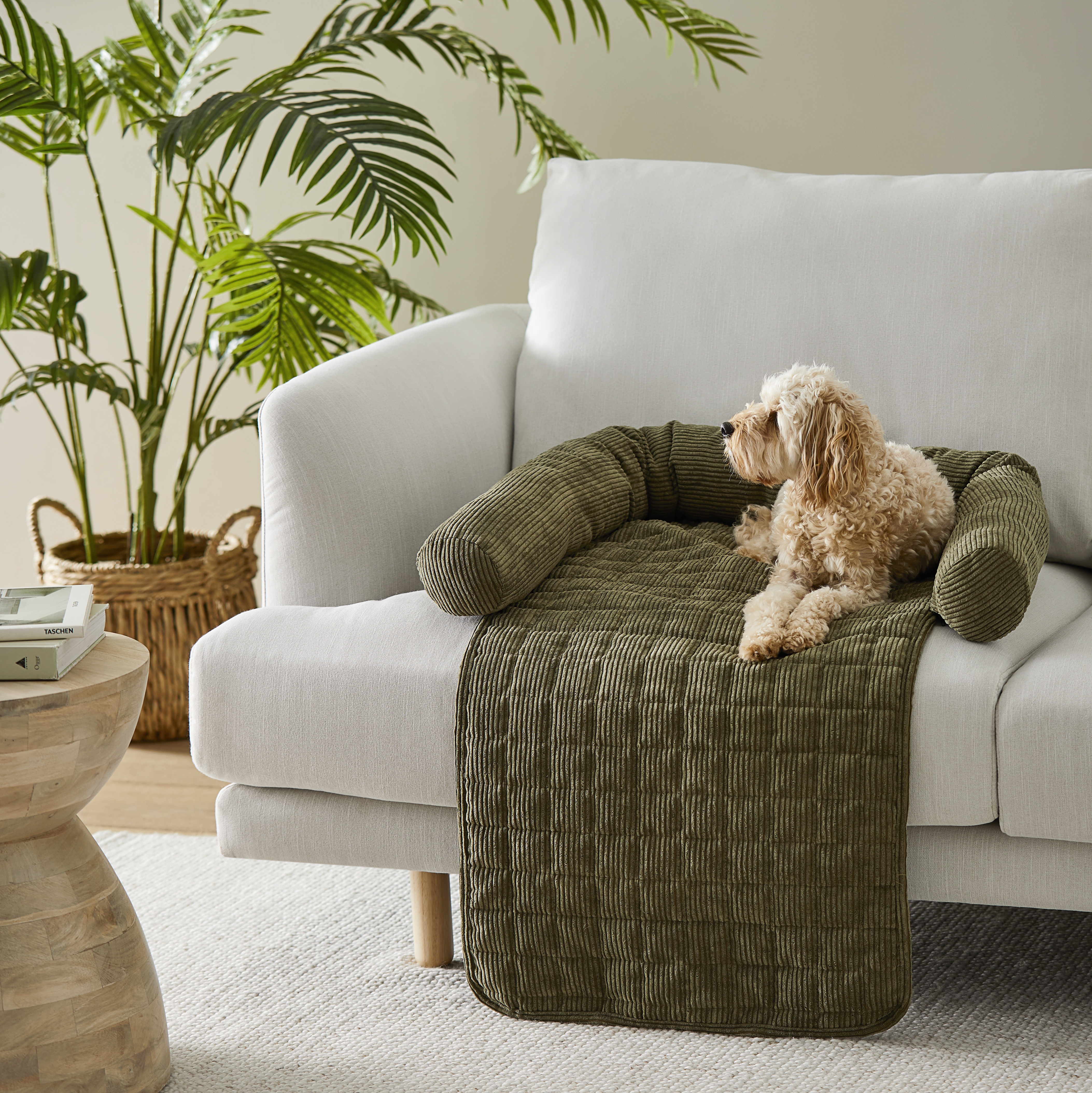 Maisy Forest Corduroy Fold-Out Pet Bed