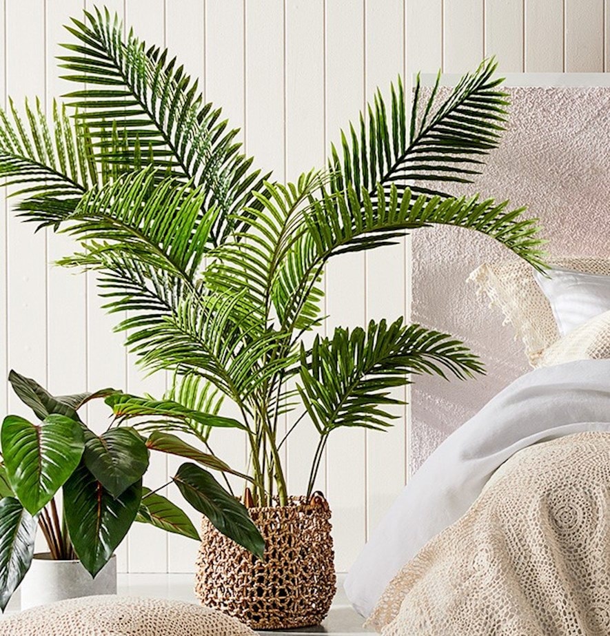 Areca Palm Potted Plant 110cm