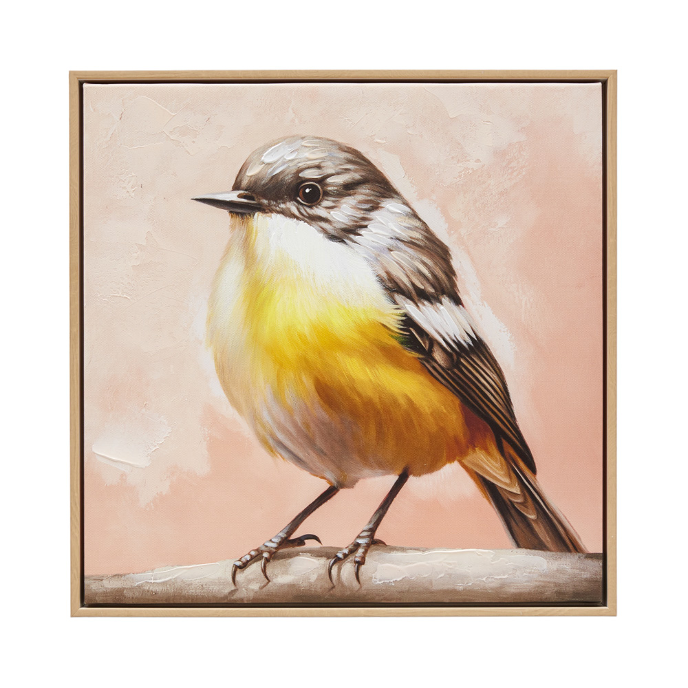 Aves Yellow Belly Canvas