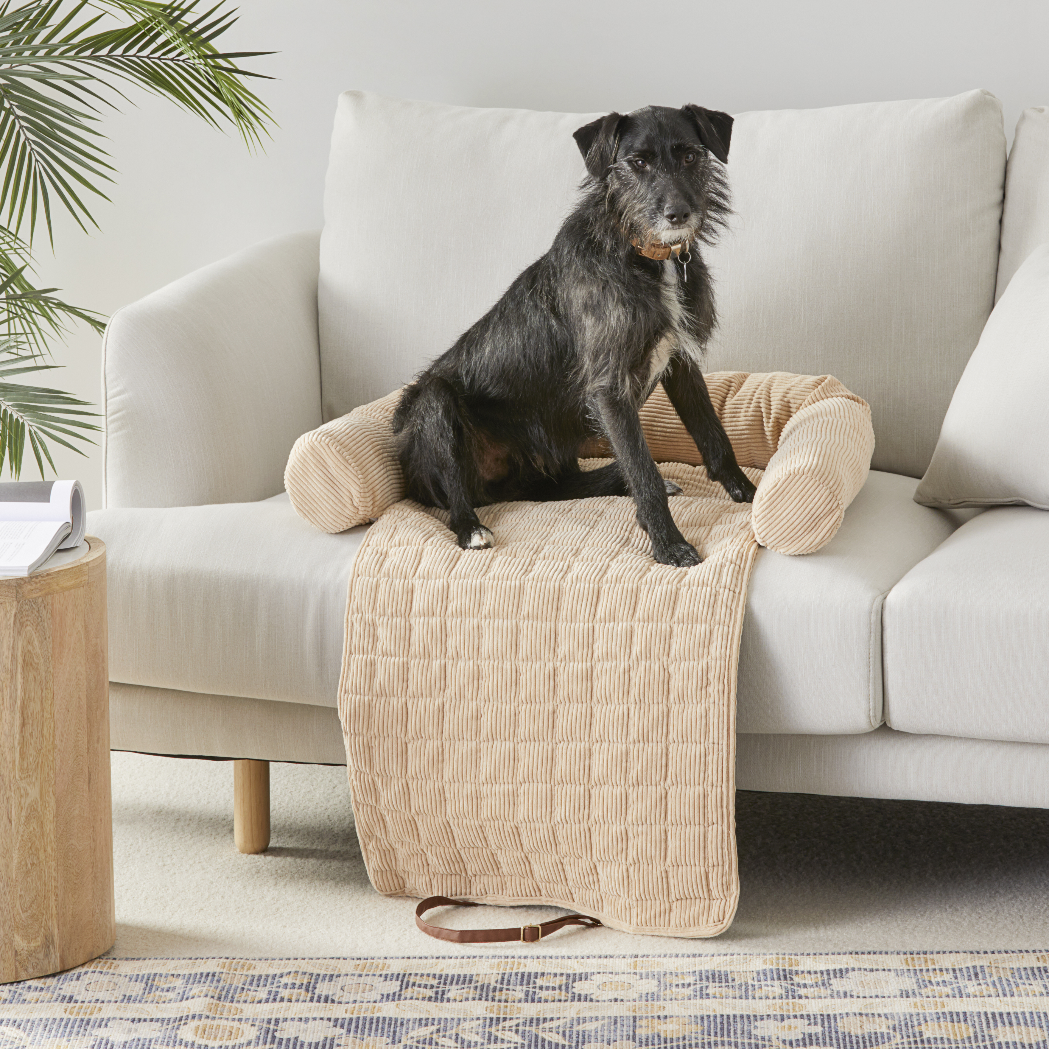 Maisy Biscuit Corduroy Fold-Out Pet Bed