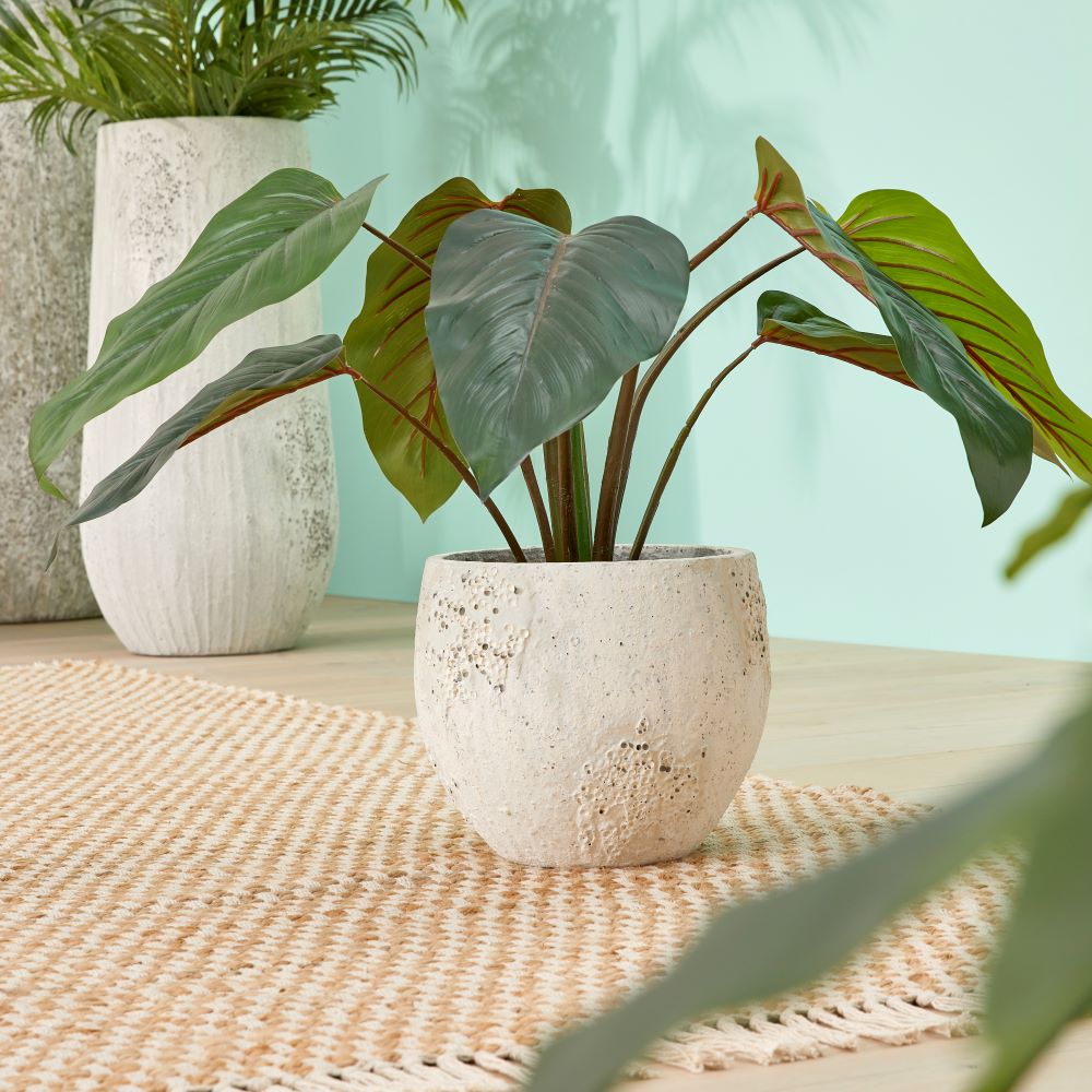 Odyssey Small Rustic White Pot