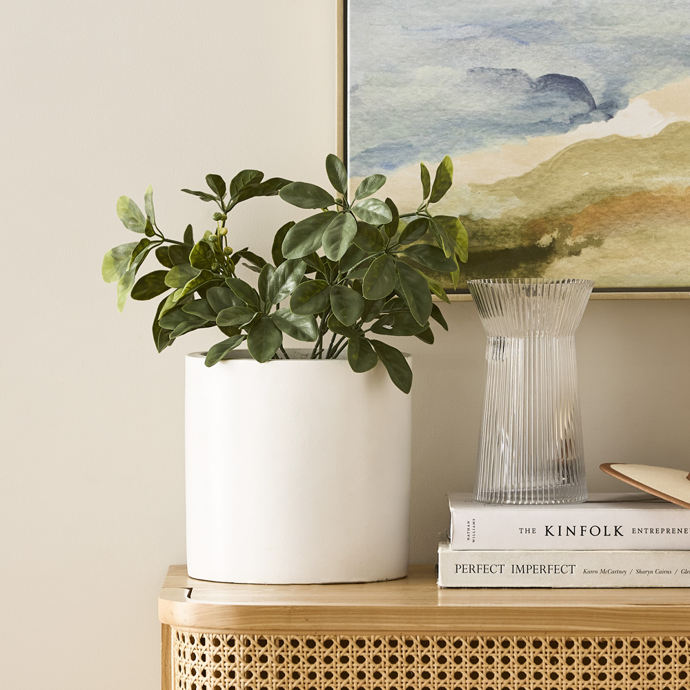 Umbrella Potted Fern 30cm