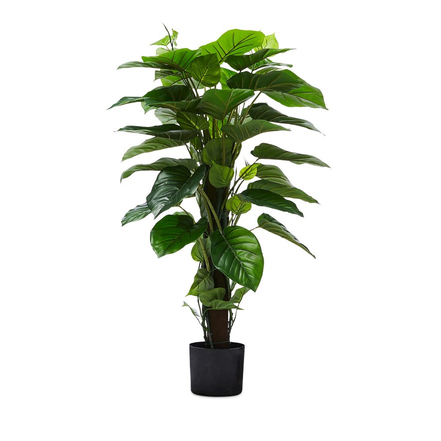 Pothos Standing Potted Plant 120cm