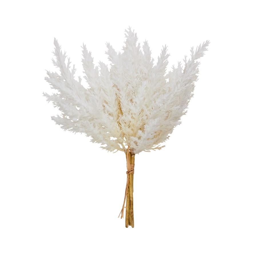 Carter White Brush Bunch Stem