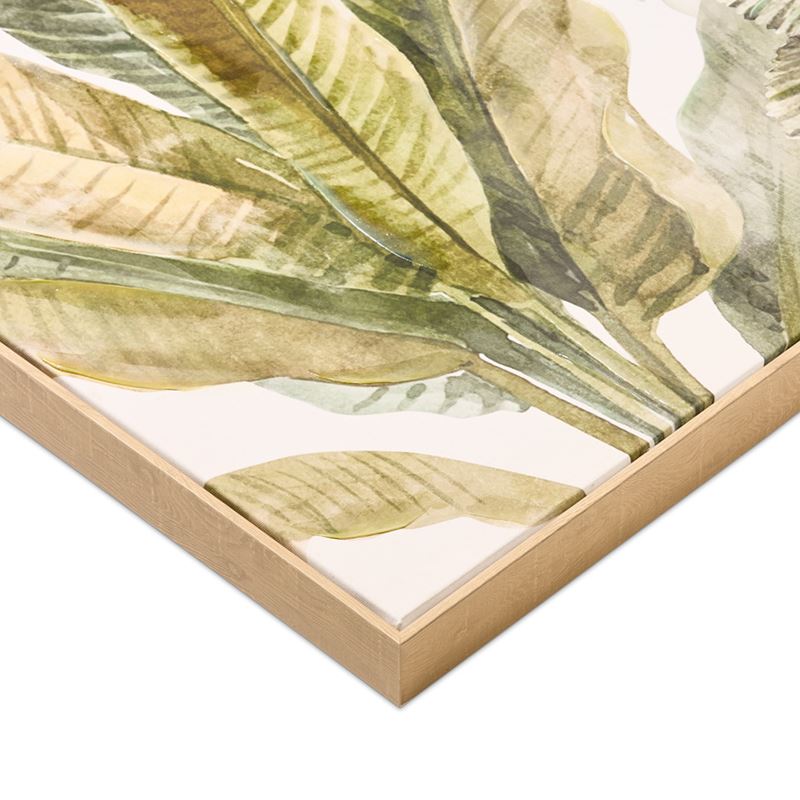 Rainforest Parrots Canvas