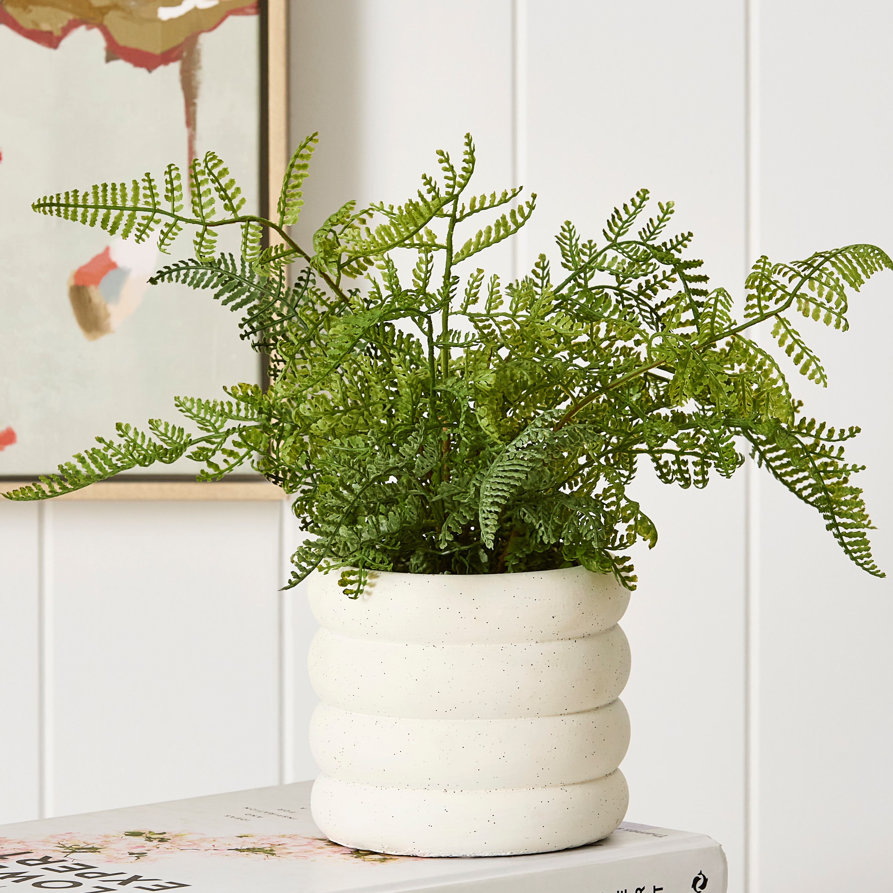 Conran Green/White Potted Fern