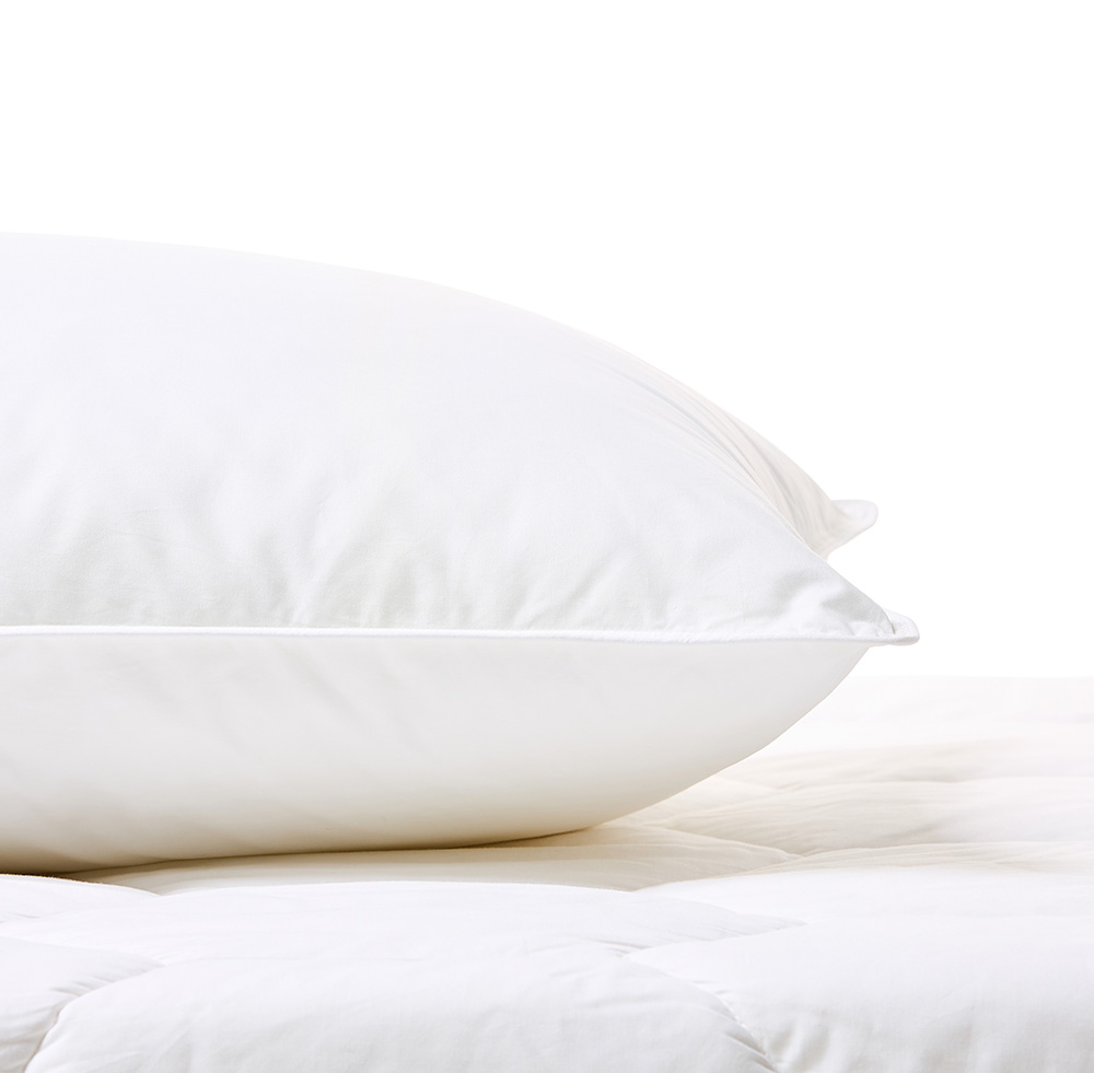 Medium Profile Pillow