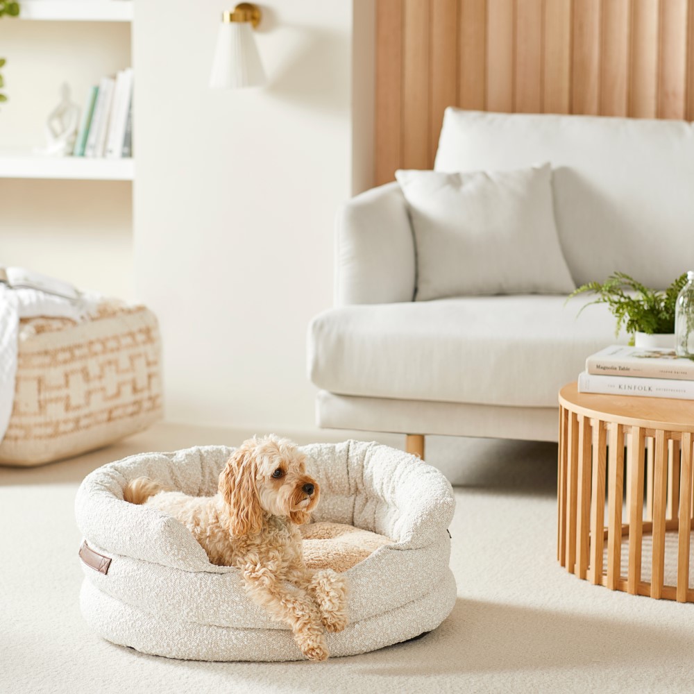 Ziggy Cream Boucle Pet Bed