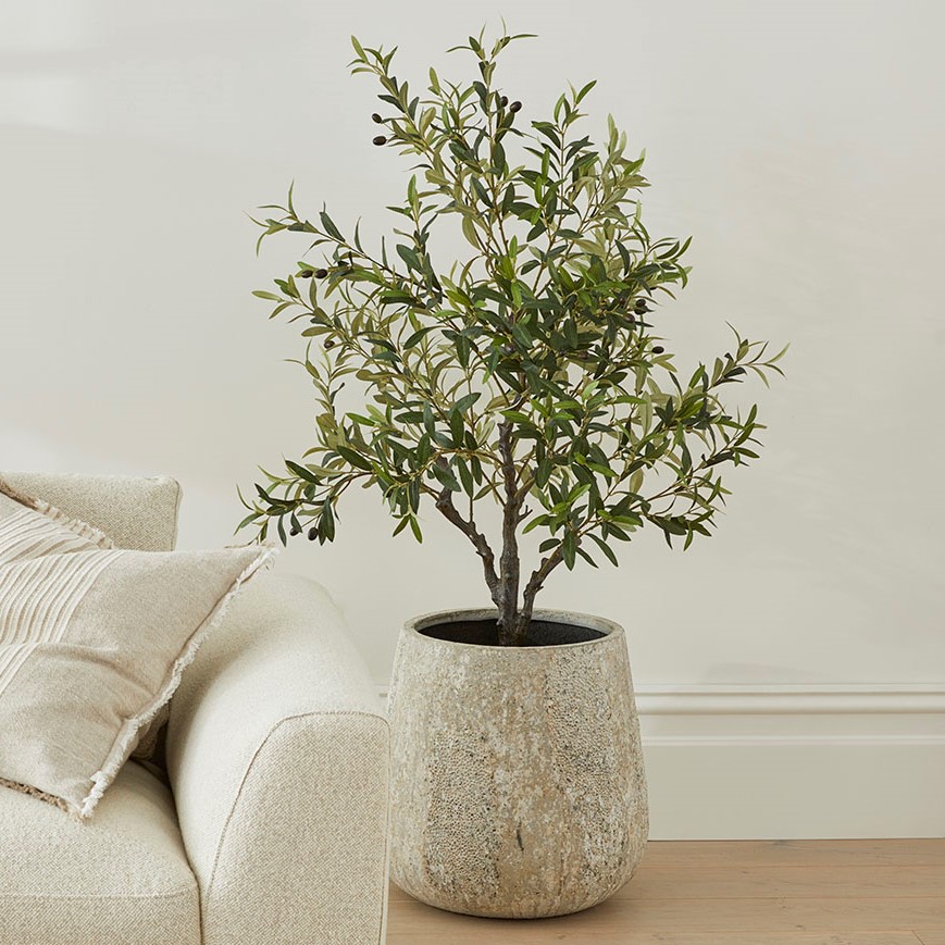 Green Olive Tree 125cm