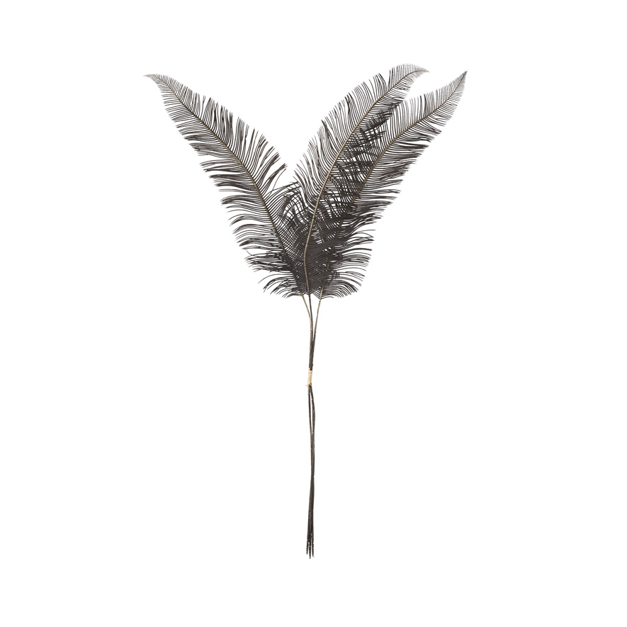 Winter Stem Black Feather Bunch