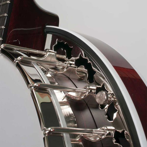 Deering Eagle II 5-String A/E