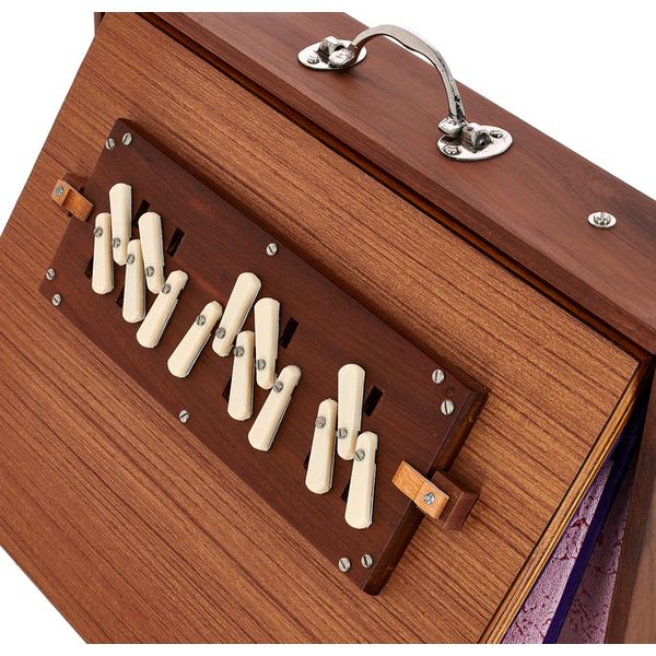 Thomann Nataraj Prof. Shruti Box G-G