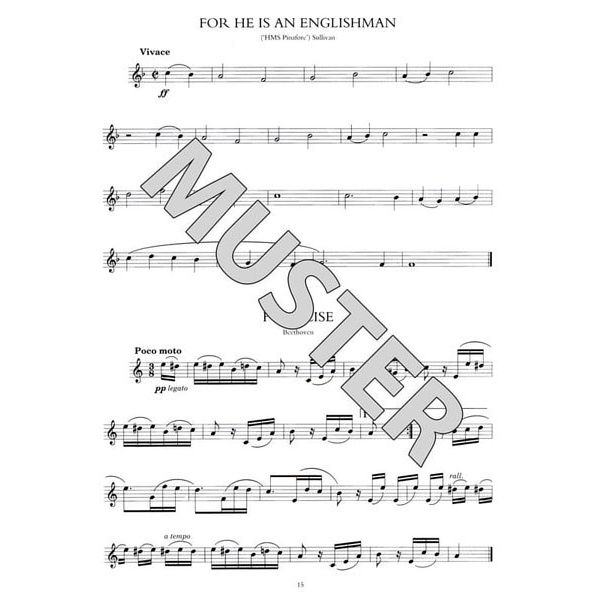 Music Sales 100 Classical Themes Flute