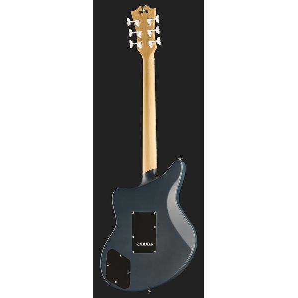 DAngelico Premier Bedford Bob Weir Sig