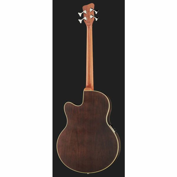 Warwick Alien Deluxe 4 Hybrid Thinline