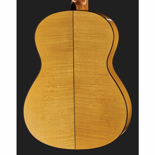 Alhambra 3F-G Flamenco incl.Gig Bag