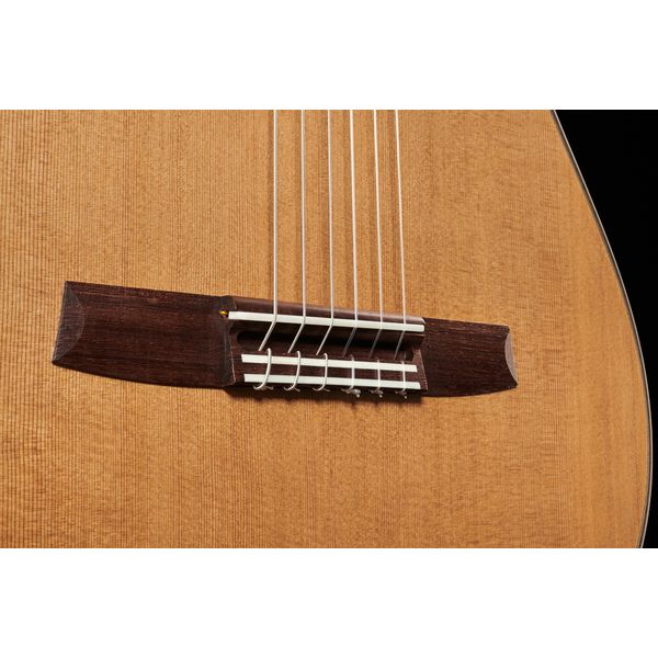 Hanika Fusion PC w/Pickup