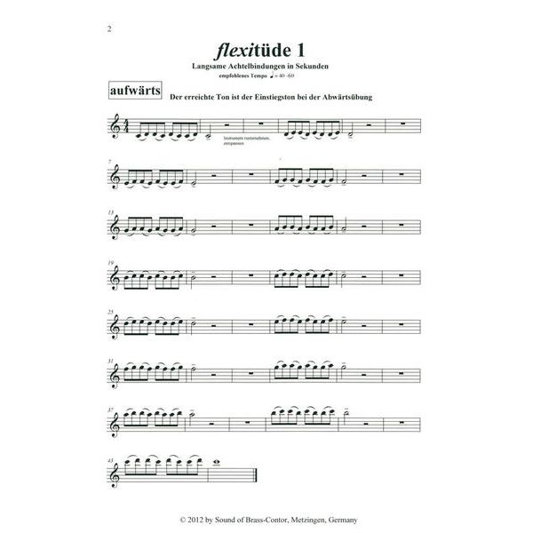 Flexibrass Flexitüden