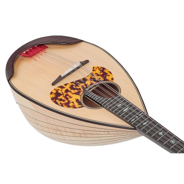 Atsushi Miyano Round Back Mandolin M-2 MG