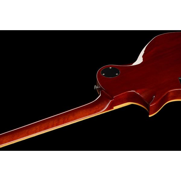 ESP LTD EC-256 FM LD