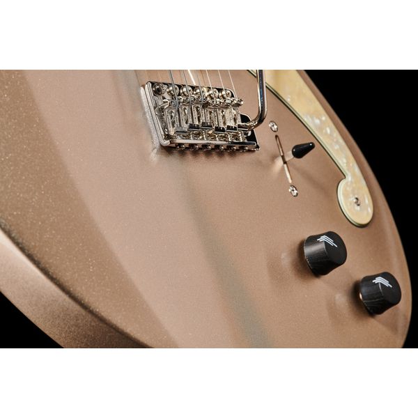 DAngelico Deluxe Bedford DG