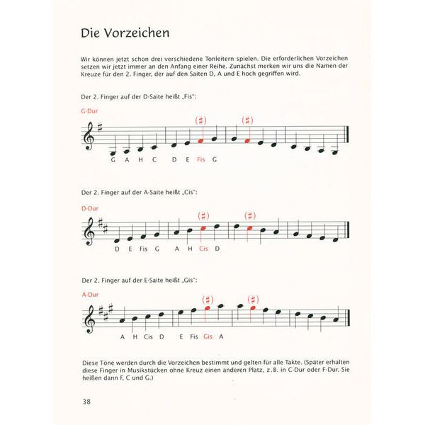 Brenreiter Samannshaus Anfang Geige 1