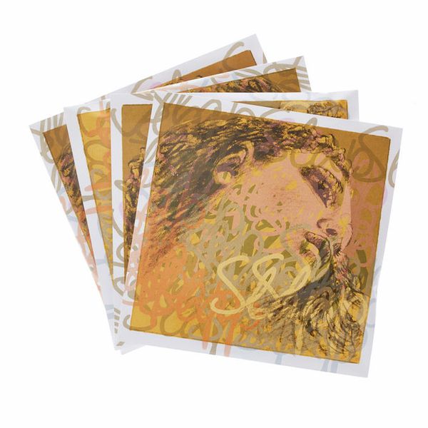 Pirastro Evah Pirazzi Slap Strings Syn.