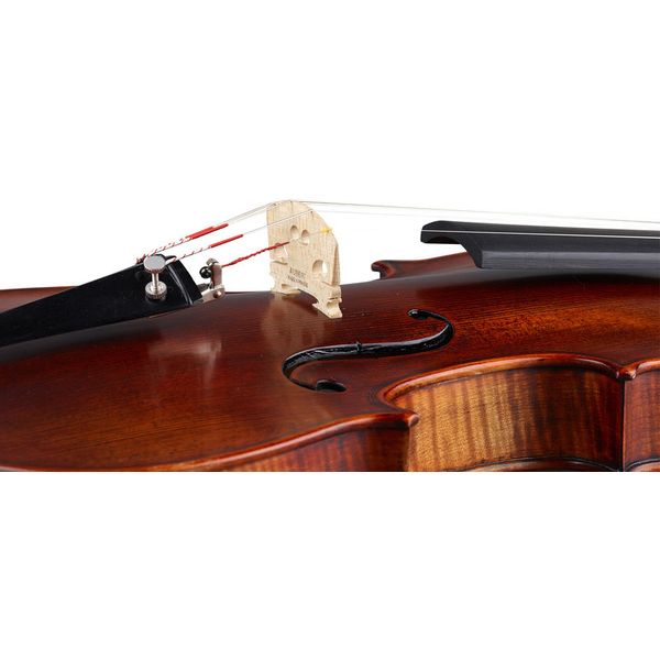 Stentor SR1880 Violin Arcadia 4/4