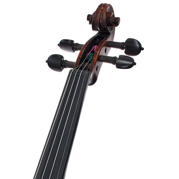 Stentor SR1884 Violin Arcadia Antik